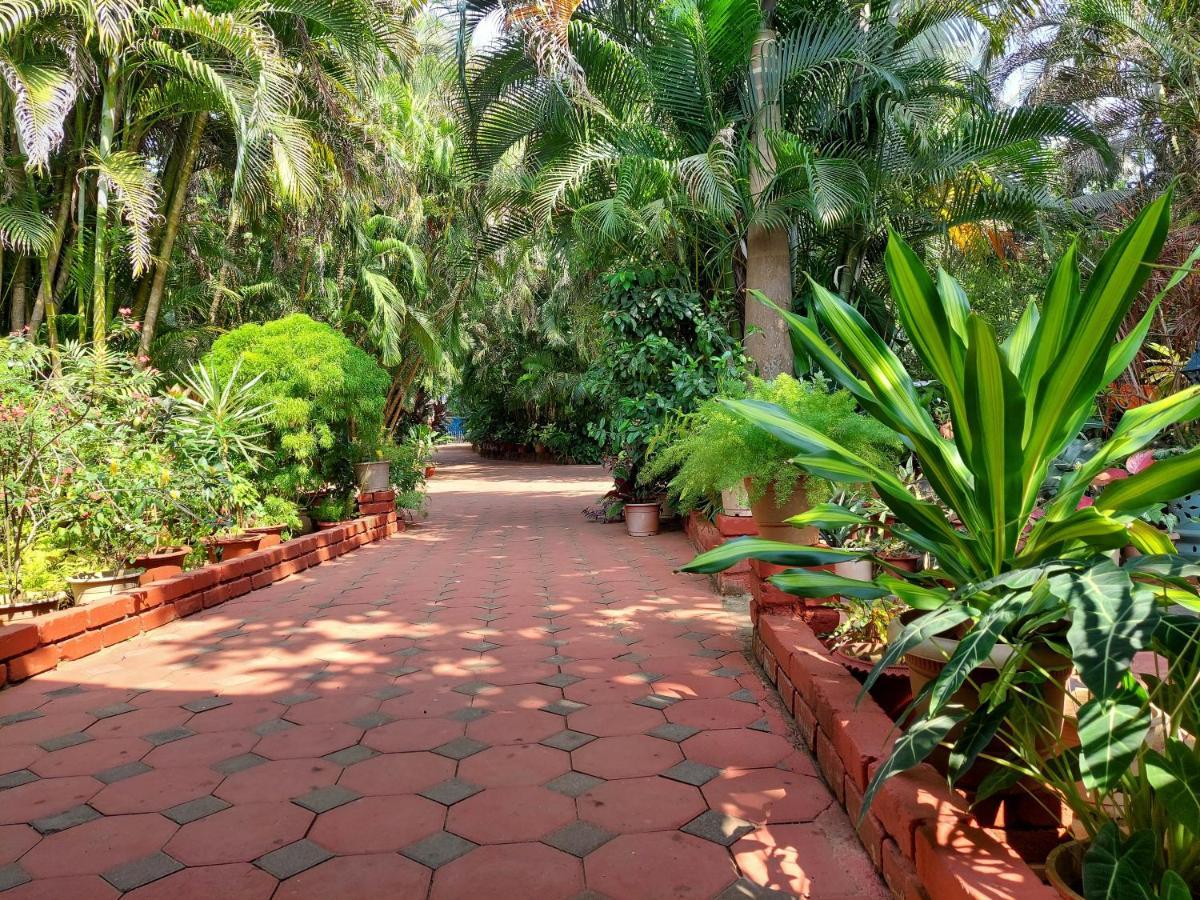 Palm Grove Cottages - Leisure Resort Benaulim Exterior photo