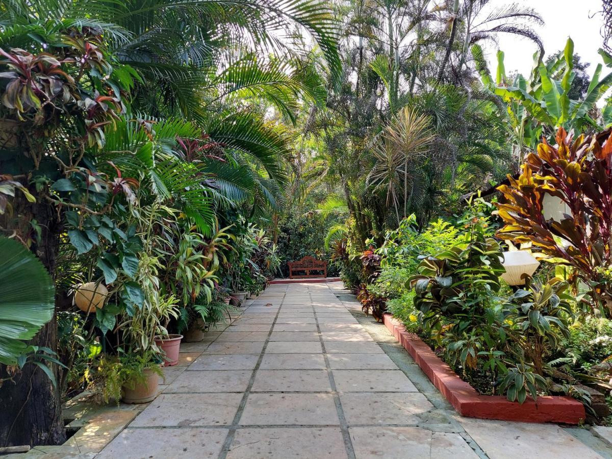 Palm Grove Cottages - Leisure Resort Benaulim Exterior photo