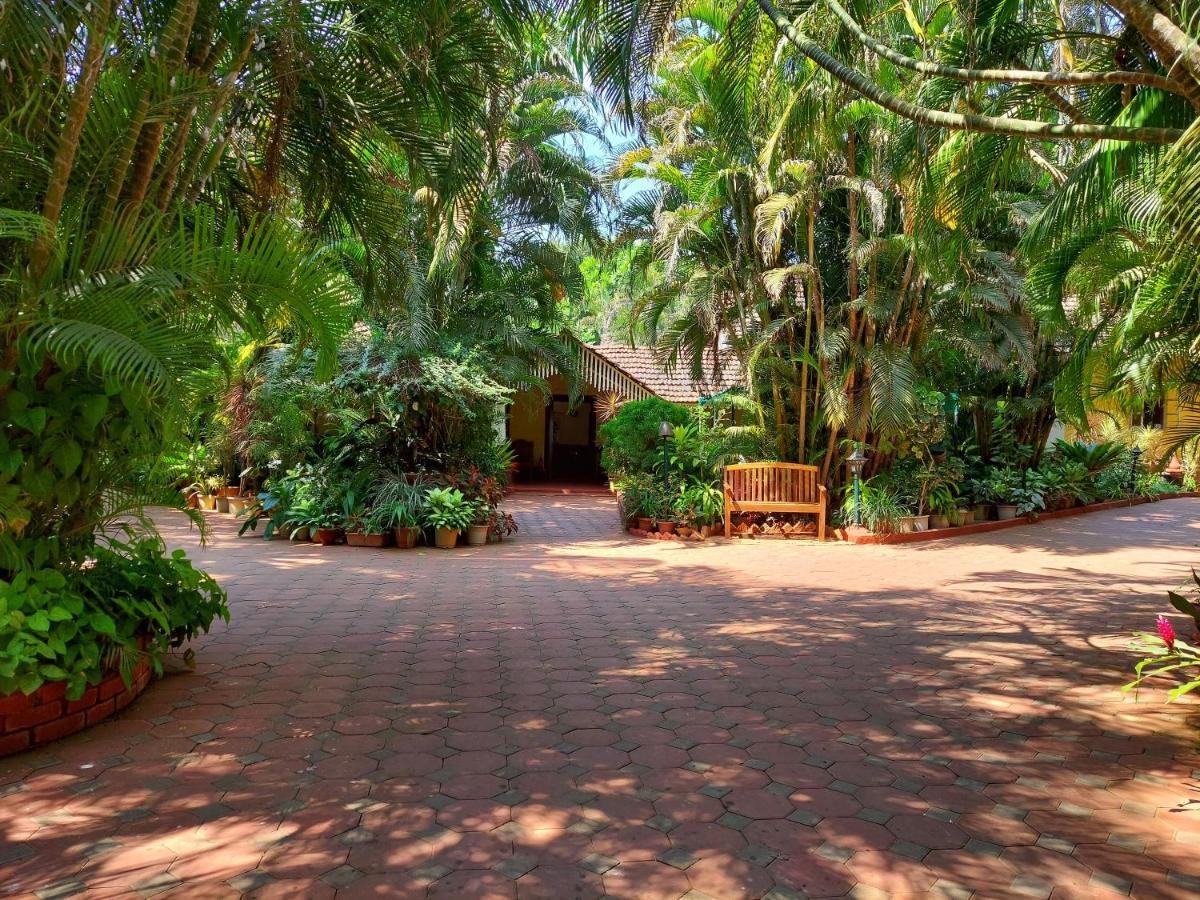 Palm Grove Cottages - Leisure Resort Benaulim Exterior photo