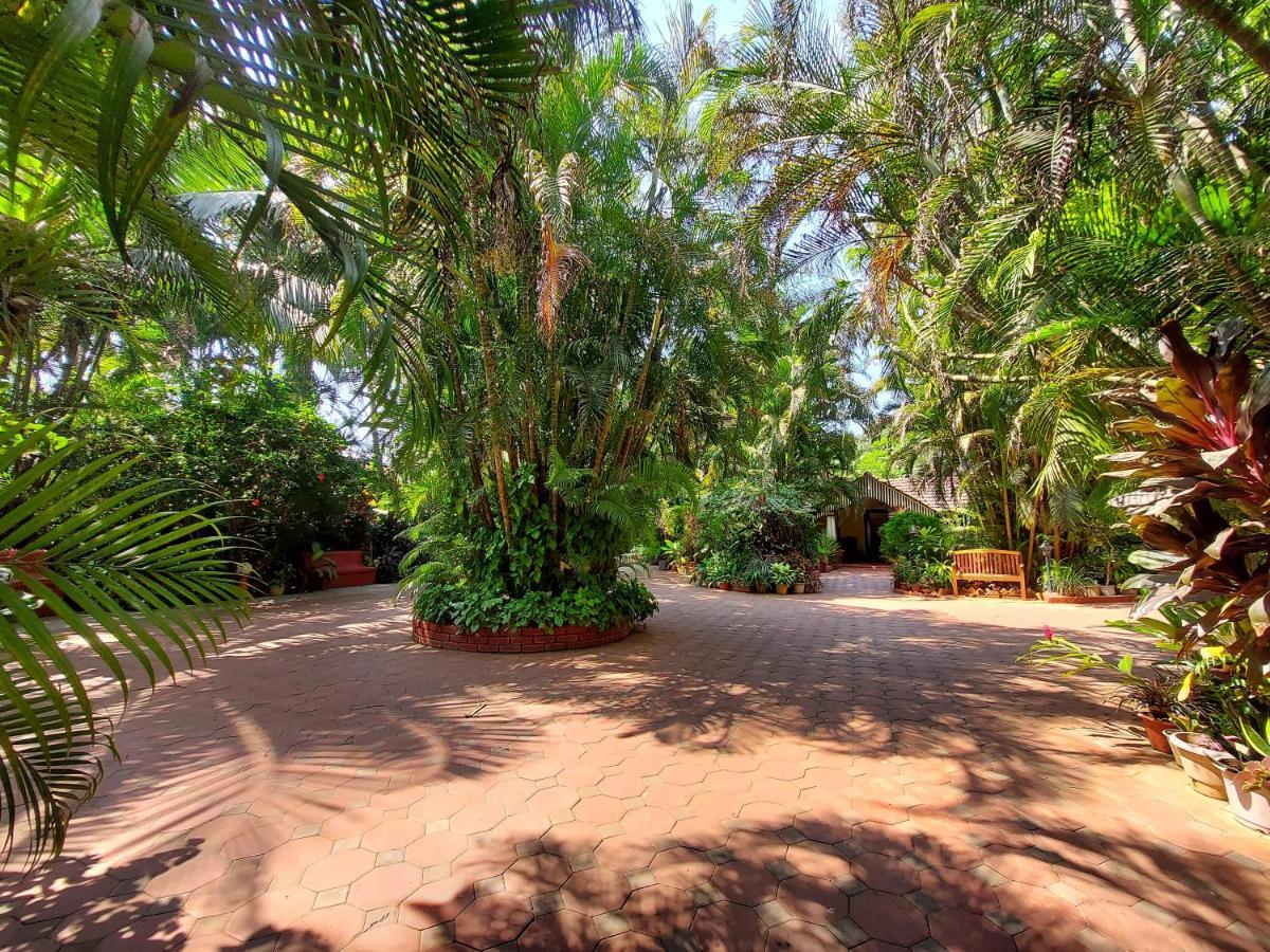 Palm Grove Cottages - Leisure Resort Benaulim Exterior photo