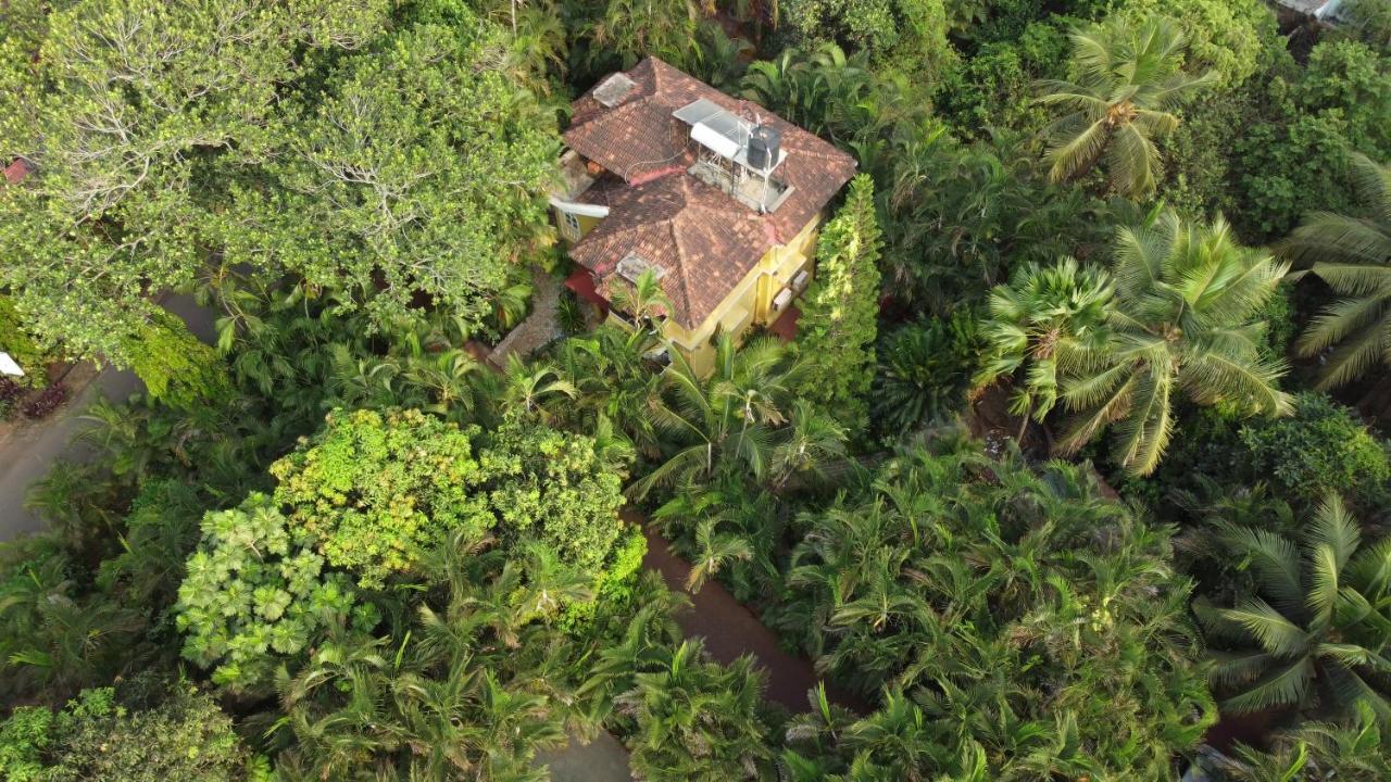 Palm Grove Cottages - Leisure Resort Benaulim Exterior photo
