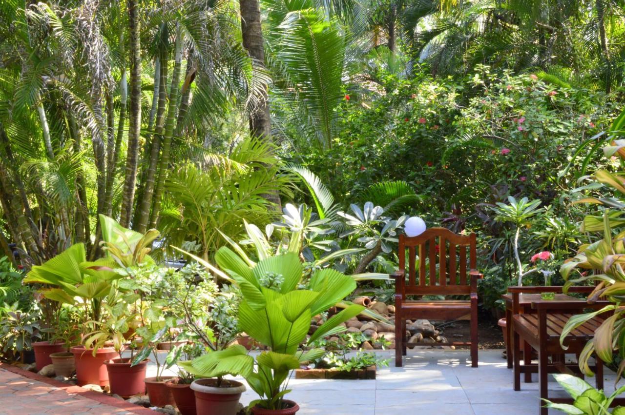 Palm Grove Cottages - Leisure Resort Benaulim Exterior photo